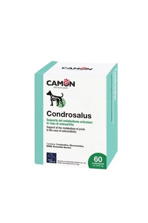 Camon Orme Naturali Condrosalus Per Cartilagine Cani 60 Compresse