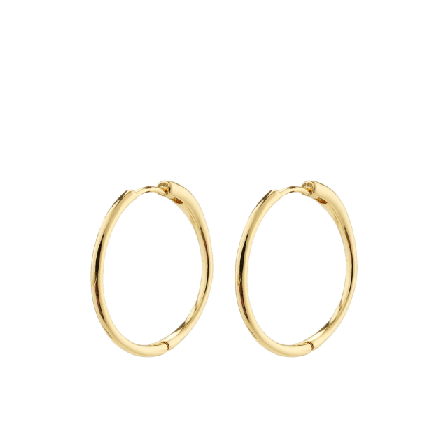 Pilgrim Eanna Earrings Smycken & klockor Dam Guld ONESIZE