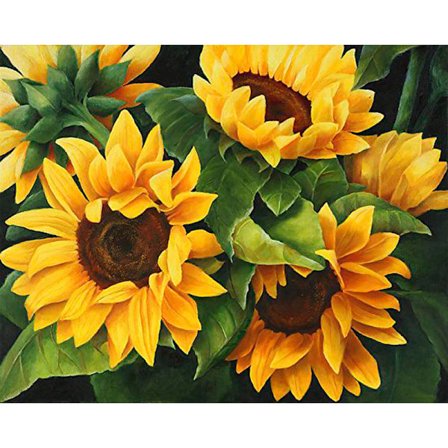 30 x 40 cm, Diamantmålning Broderi Diamantmålning Duk 5