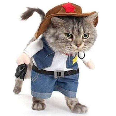 Pet Hund Och Katt Kostym Jeans Hoodie Halloween Kostym .i