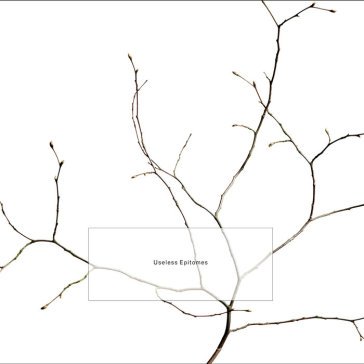 Useless epitomes K. LEIMER