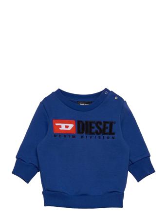 Screwdivisionb Sweat-Shirt Svetari Collegepaita Sininen Diesel