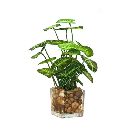 Glasflaske Firkløvers Eviggrøn Simuleret Grøn Plante Pottet Dekoration Hjem Dekoration Skrivebords Dekoration