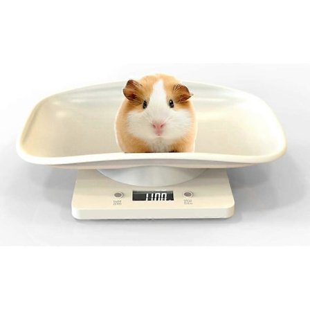 Digital dyrevekt med LCD-skjerm, 4 vektmoduser (Oz / Ml / Lb / G) for kjæledyr og kjøkken