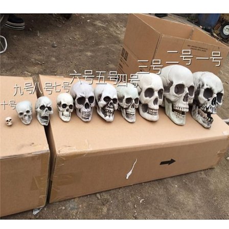 Halloween kunstig skallehode modell Skull Bone Horror Skele