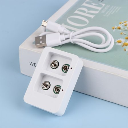 1 Stk 2 Spor 9V Smart Rask batterilader