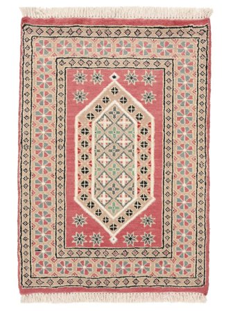 Hand Knotted Pakistan Bokhara 2Ply Rug 64X92 Wool Brown/Red Small