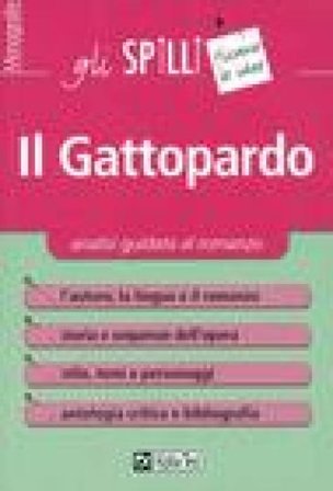 Il Gattopardo. Analisi guidata al romanzo Mariangela Castiello