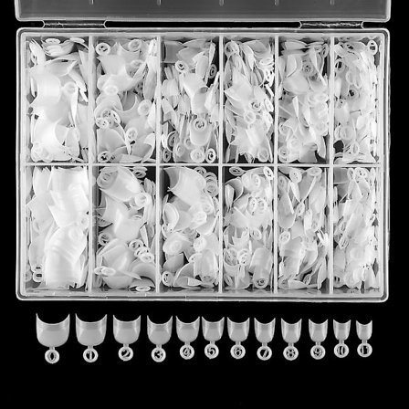 600 st korta nagelspetsar korta ovala halvöverdrag falska nagelspetsar 12 storlekar falska nagelspetsar med låda