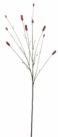 Mr Plant Kunstig Pimpinell Burgunder H80