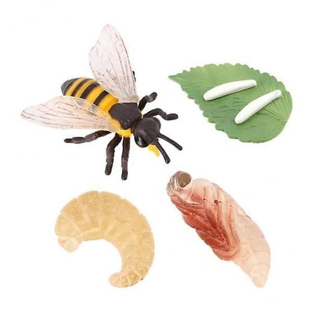 3x Plast Barn Insekt Bie Livssyklus Figurer Utdanning Læringsleker