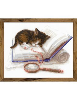 Billede Kat i bogen - Riolis