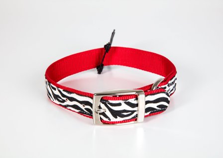 Zack and Zoey - Zack & Zoey Animal Print Collar Zebra - XS