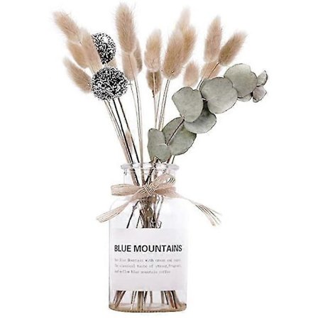 Kuivakukka ja maljakko -setti kodin sisustukseen [D]