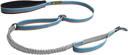 OllyDog Urban Trail Adjustable Spring Leash Air Blue