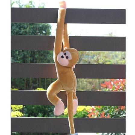 Søt Screech Monkey Plysjlekedukke Dukke Gibbons Barnegave Brun Brown One Size
