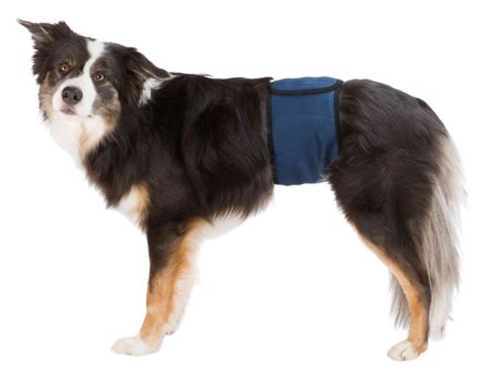 Trixie - Nappies for Male Dogs, washable - Markeringsbeskyttelse, Tispetruse, Hjemmeapotek på Doggie.no