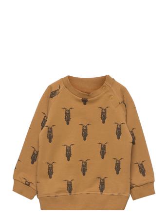 Sweatshirt Brown Petit By Sofie Schnoor