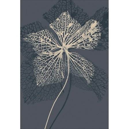 Ian Winstanley Stem Silhouette IV Print 40cm x 30cm Kräm/Grå