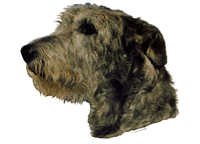 Irsk ulvehund mørk - klistremerker