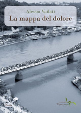 La mappa del dolore. Riflessioni in versi su trenta fotografie vincitrici del Premio Pulitzer. Ediz. illustrata Alessio Vailati