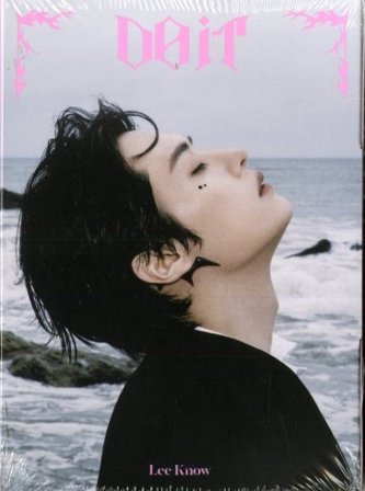 Skz it tape 'do it' cd accordion ver. STRAY KIDS