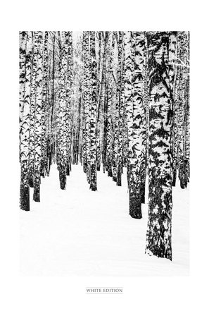 Malerifabrikken - Poster White Edition 2 - Sort - Posters - Fra Homeroom