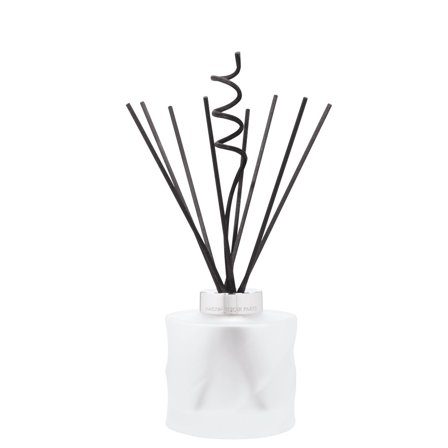 Maison Berger Paris Bouquet Parfumé Bouquet Spirale Givrée (Senza profumo) - Diffusore di Profumo