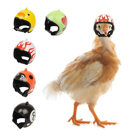 5 stk. Hønshjelme Kyllinghjelm Kæledyrs Sikkerhedshjelm