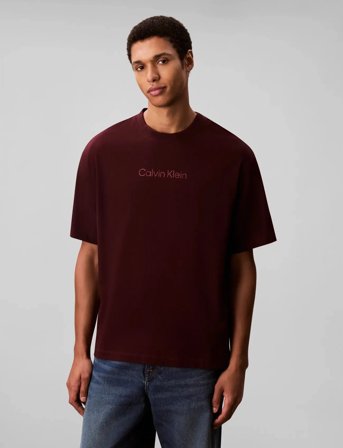 Calvin Klein Ss Standard Logo 30S Crewnk Tee - Brown - XL