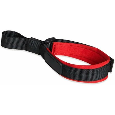 Kort snor til hunde, justerbar håndledssnor til hunde kæledyr rød