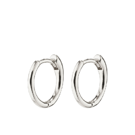 Pilgrim Eanna Earrings Smycken & klockor Dam Silver ONESIZE