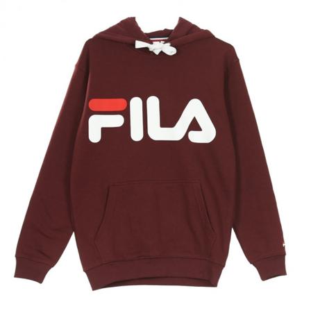 Fila, Classic Logo hooded sweatshirt Brązowy, Mężczyzna, Rozmiar: M