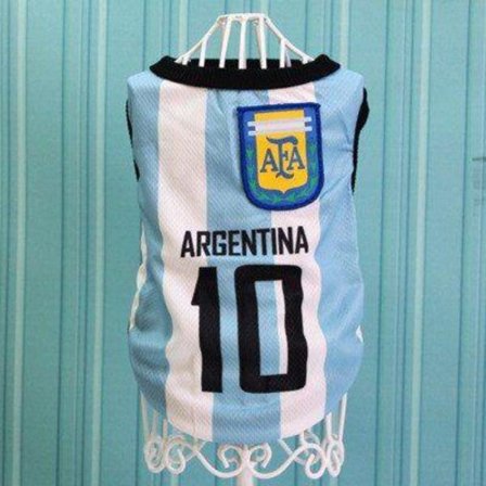 VM-klær for hund og katt - Fotballdrakt, Basketball-T-skjorte, Mesh-vest - Modell ARGENTINA-XS