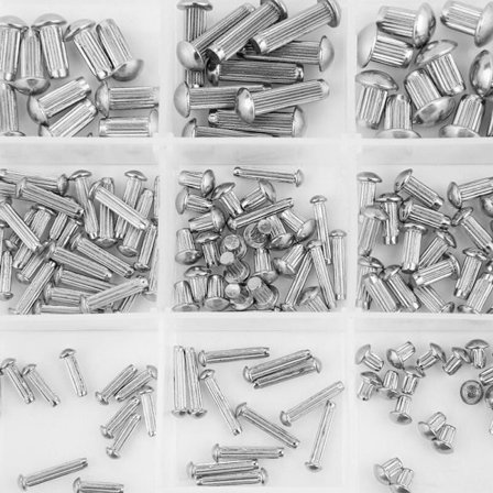 250 st M2-M5 Rostfritt Stål Rundhuvud Räfflat Skaft Massiva Nitar Sortiment