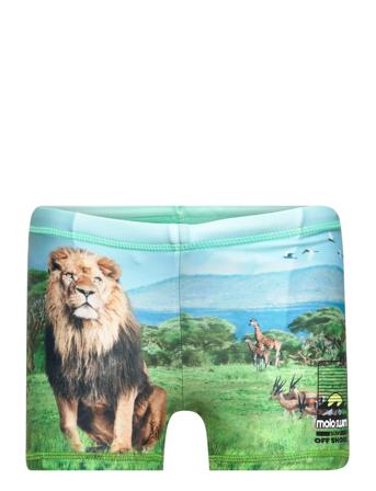 Norton Placed Swimwear UV Clothing UV Bottoms Multi/mønstret Molo