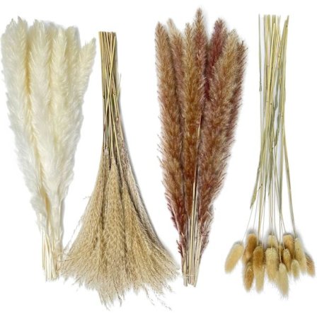 Tørret naturligt pampasgræs, originale små siv, 15 små hvide r