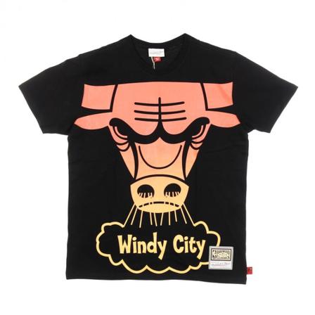 Mitchell & Ness, t-shirt Zwart, Heren, Maat:S