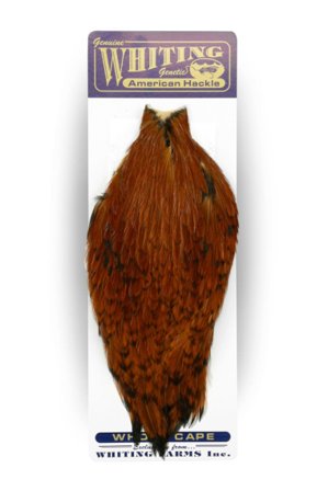 Whiting American Rooster Cape Brown