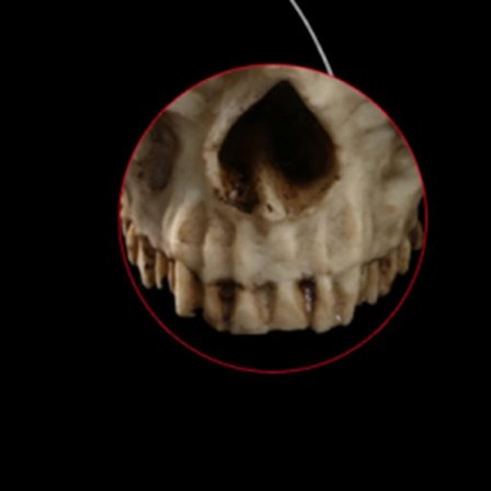 Hvit Skallehode Modell Dekorasjon Blomsterpotte Plantepotte Potte For Hjem Blomster Planter Ornamen