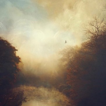 This light STRAY THEORIES