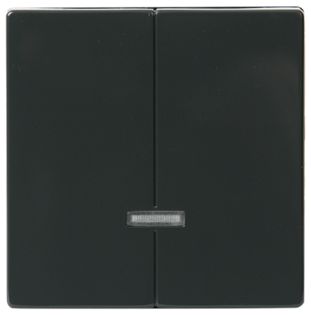 ABB Impressivo Centrumplatta för dubbeldimmer Antracit, Strömbrytare & vägguttag