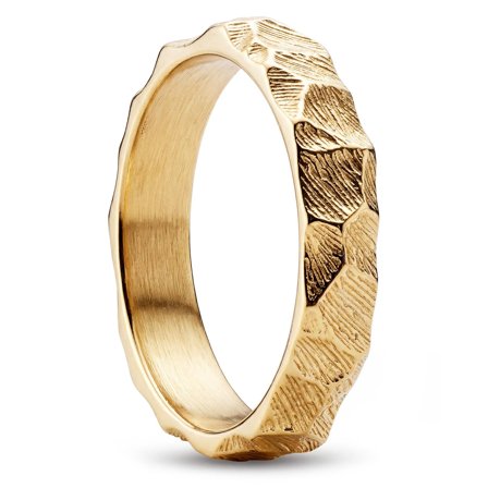 New Classics | 4mm Kullansävyinen Rustiikkinen Terässormus for Men