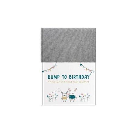 Bump to Birthday (inbunden, eng)