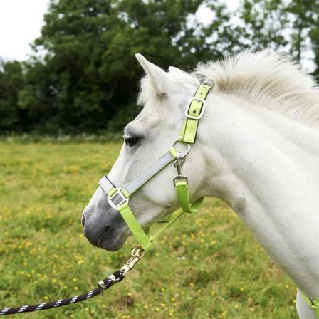 Reflexgrimma full - Biltema