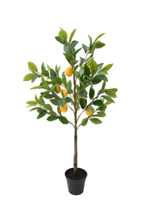 Åhléns Home Konstväxt citronträd i kruka Blommor & växter Grön ONESIZE