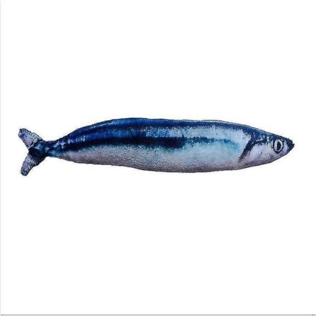 Rolig fiskform mjuk plysch - Simuleringsfylld interaktiv leksak(Saury - 19 cm)
