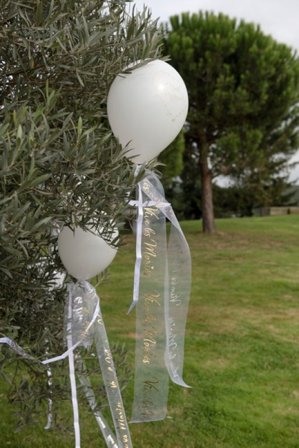 Ballonger Bryllup - Nettopp Gift 8-pakn
