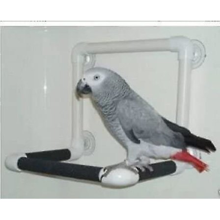 Fågel Parrot Stativ Abborre Dusch Abborre Stående leksak Bärbar sugkopp Parrot Badkar Stativ Tillbehör Rack Plattform Parakit Fönster Väggspel