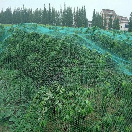 Fuglenett Plante Hage Frukttrær Fuglenett Mesh Hage Beskyttelse Avlinger Plante Dekke Nett Skyv Gjerde Klatrenett 4x10m